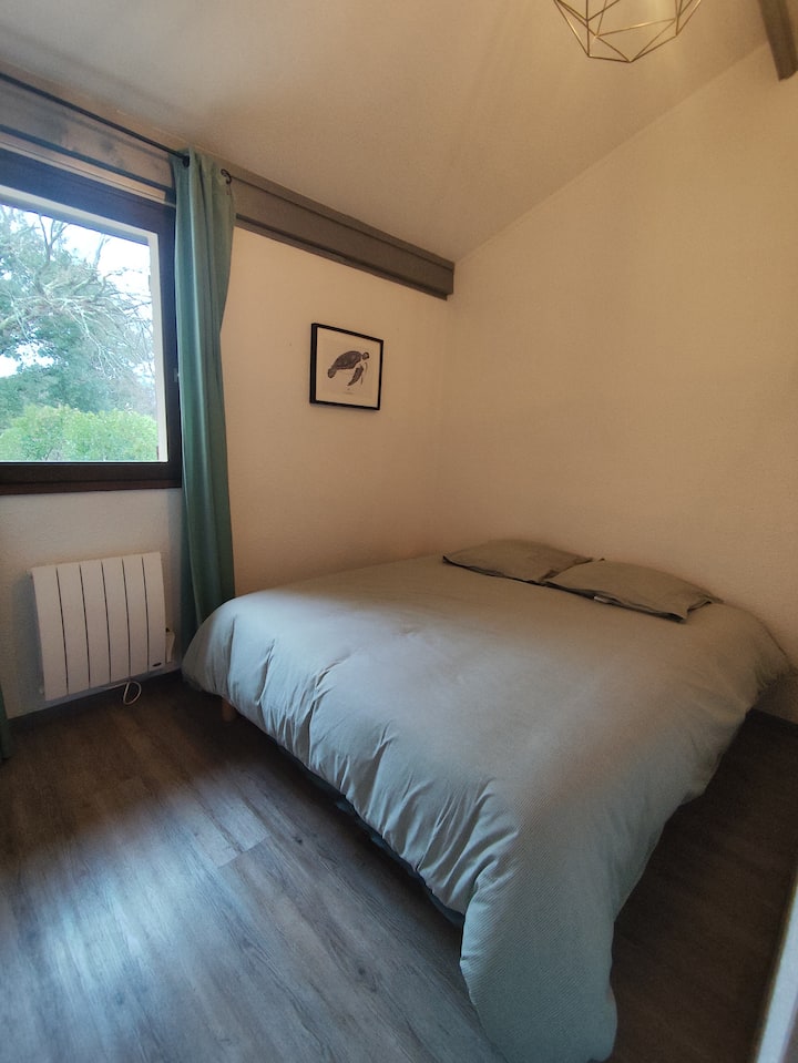 Habitación 2