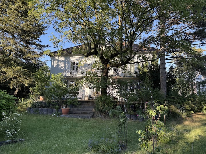 Ground Floor Of City Villa With Terrace - Pfungstadt