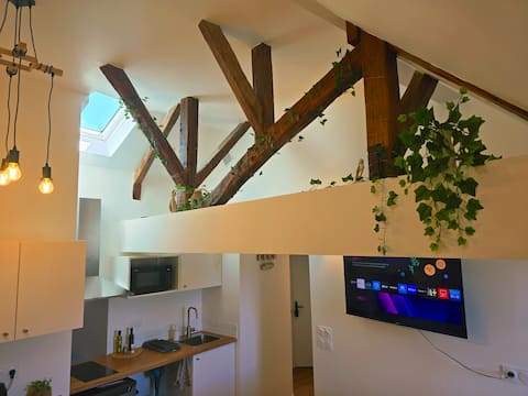 Top Airbnb: Ô Cœur de Chartres - Parking - Hypercentre à Chartres