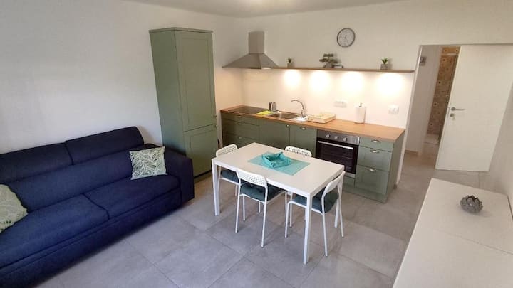 One-bedroom Apartment - Kralj - Izola