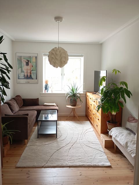 Top performing Airbnb: Cozy flat in quiet area in Bispebjerg