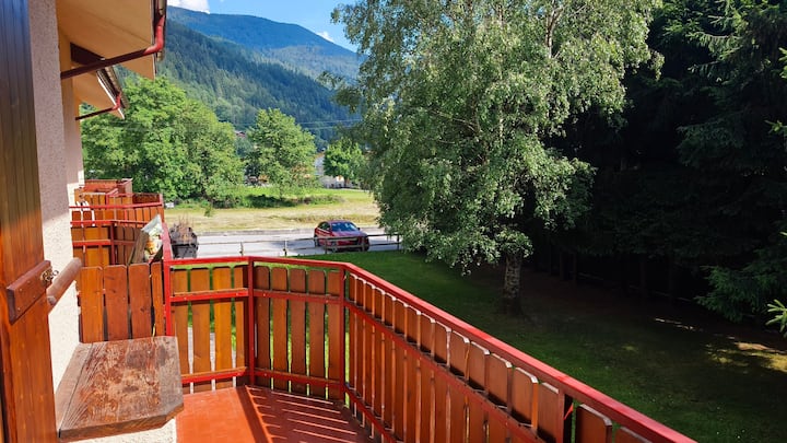 Dolomiti Apartment Pinzolo - Pinzolo