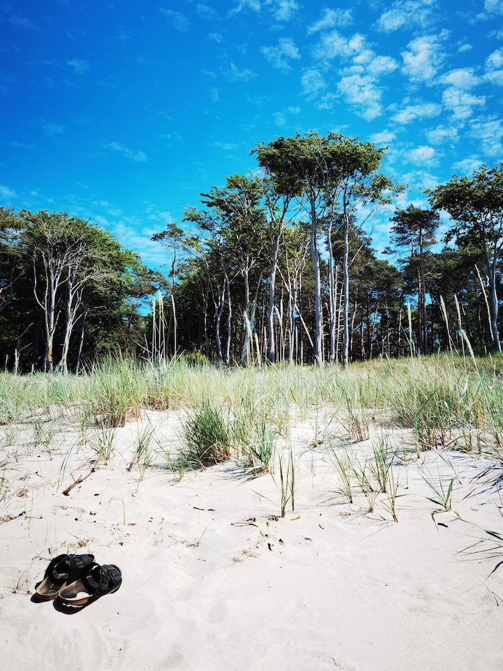 Haus Am Prerow-strand - Ahrenshoop