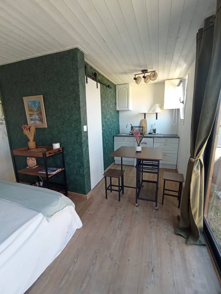 Studio Cosy Entre Bordeaux Et Bassin D'arcachon - Mios