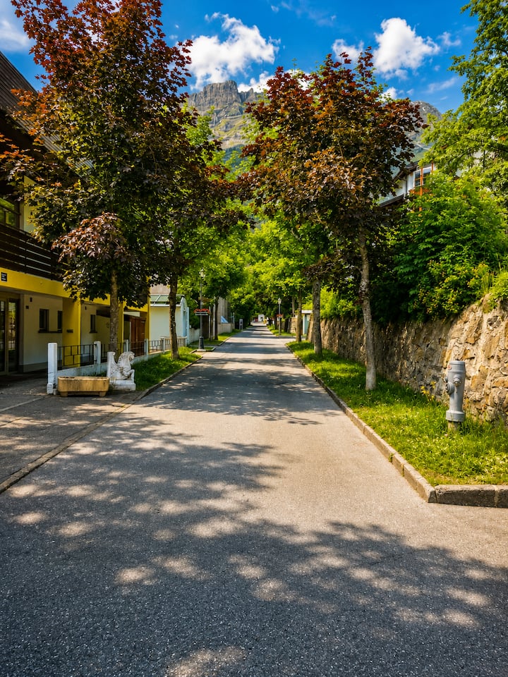 Schlossli Le Petit Chateau (302) - Leukerbad