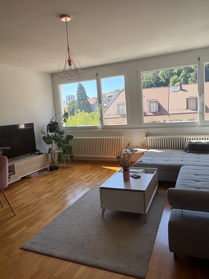 Appartement Spacieux Au Centre-ville - Lausanne
