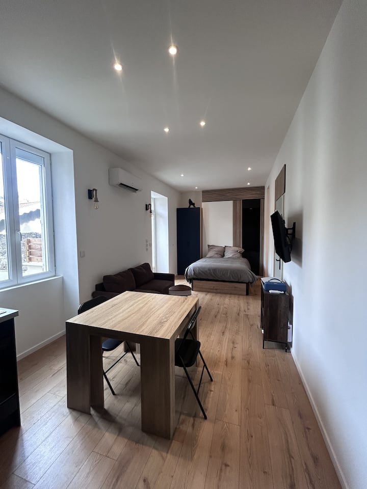 Grand Studio Lumineux Et Confortable - Valence