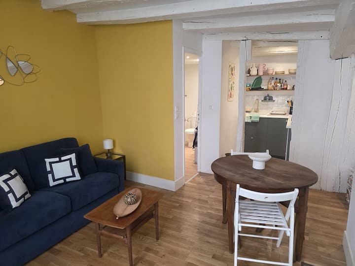 Charmant Appartement Au Vieux Tours - 투르