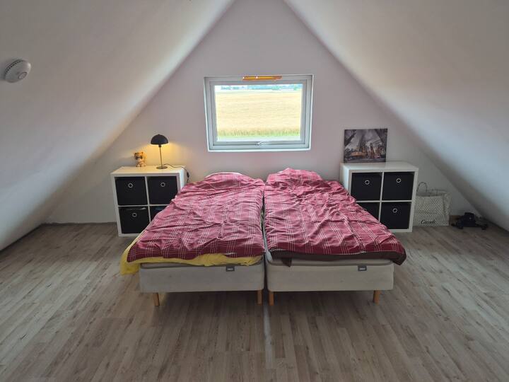 Quarto 2
