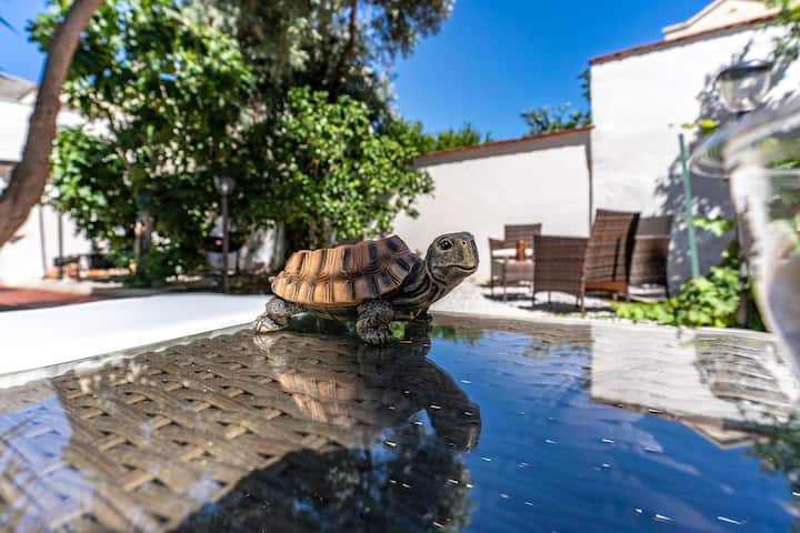 Villa Con Giardino: 8 Ospiti Vicino Al Mare - Capaci