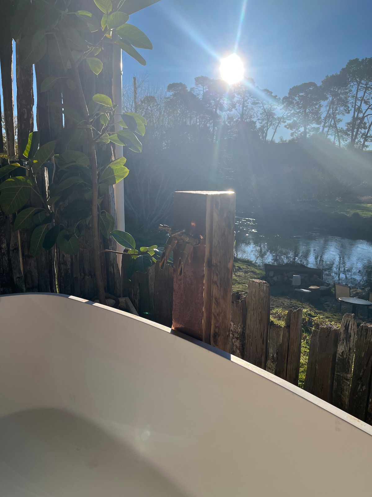 Additional photos image 4 at Cabbage Tree in Okoroire