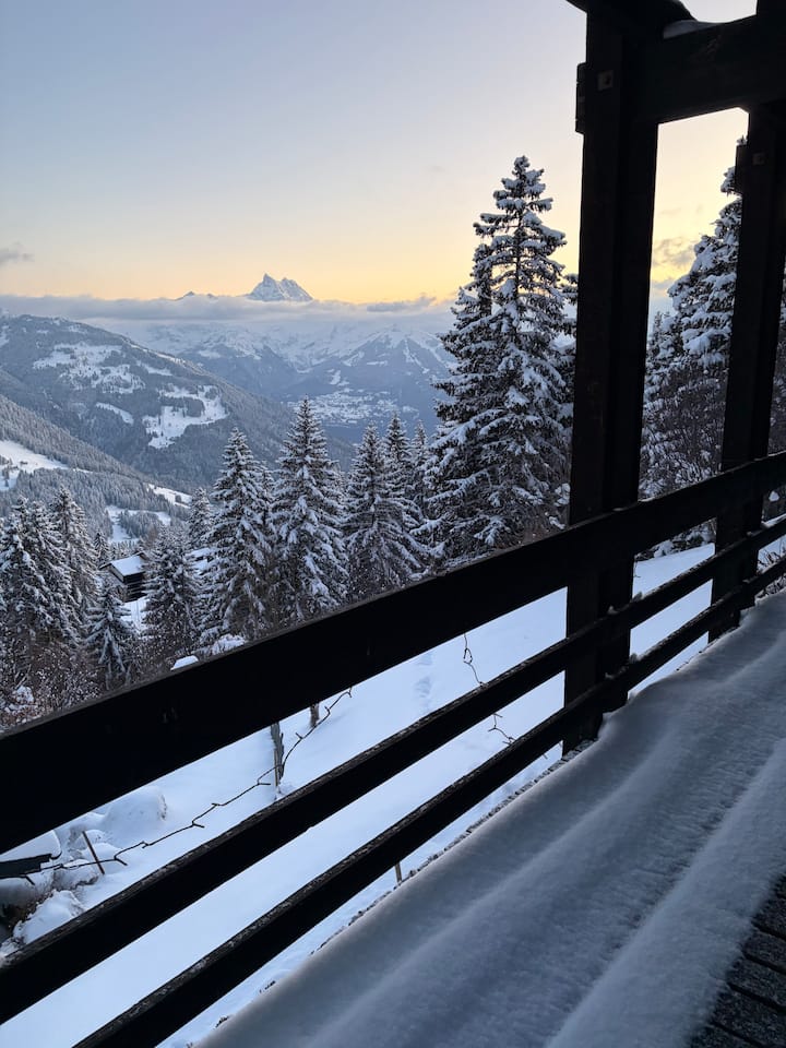 Superbe Chalet, Vue Exceptionnelle, Ski Aux Pieds - Aigle