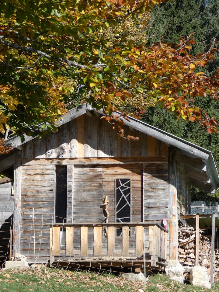 Cabane Insolite Et Immersive Chiens De Traineaux - Mijoux