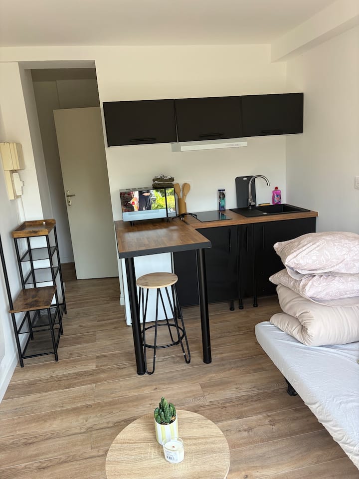 Joli Studio En Plein Cœur De La Ville - Saint-Brieuc