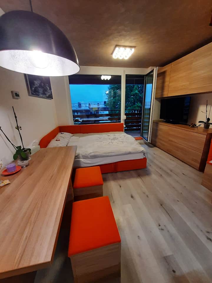Studio Apartment Jež - Bovec