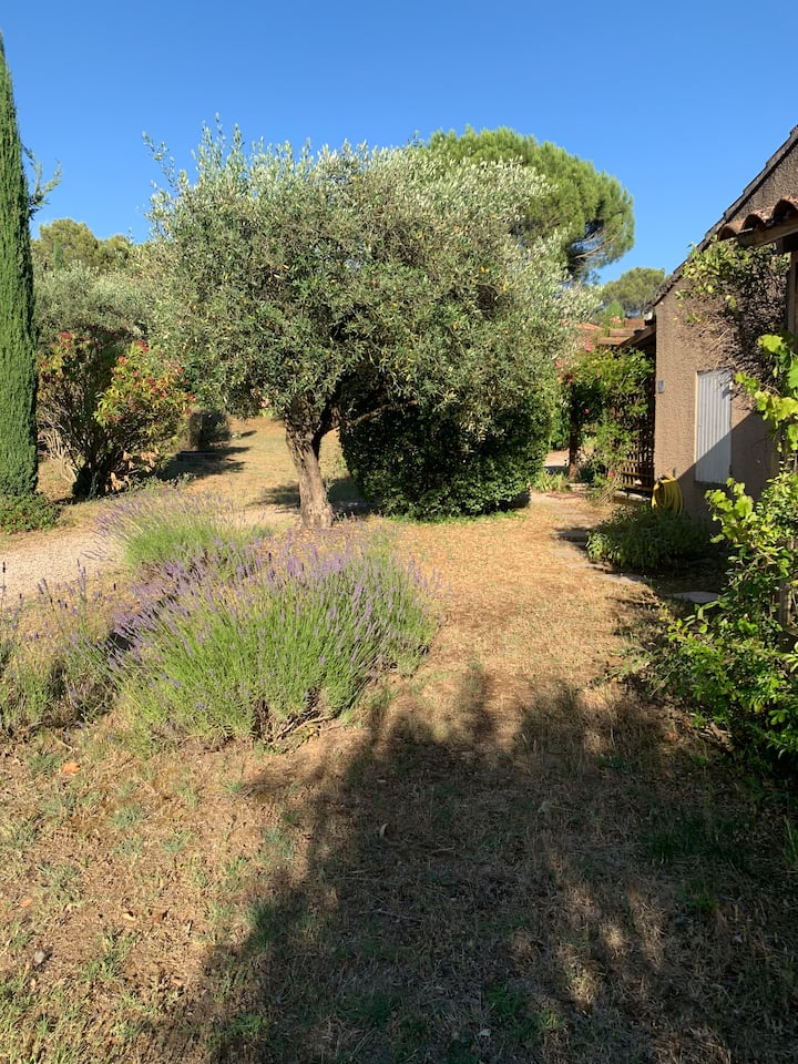 Maisonnette Vivaldi-calme-piscine-climatisation - Vaison-la-Romaine