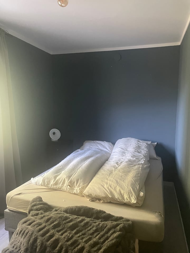 Habitación 1