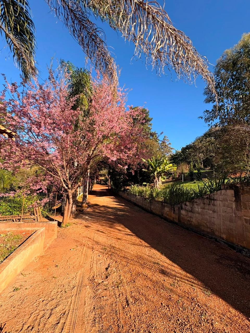 Foto do anúncio de Casa de Campo em Sítio Tranquilo em fortaleza, Aquiraz