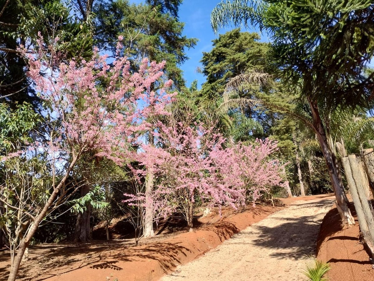 Foto do anúncio de Casa de Campo em Sítio Tranquilo no fortaleza