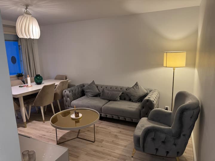 Cozy With Brand New Furniture Appt In Helsinki - Espoo