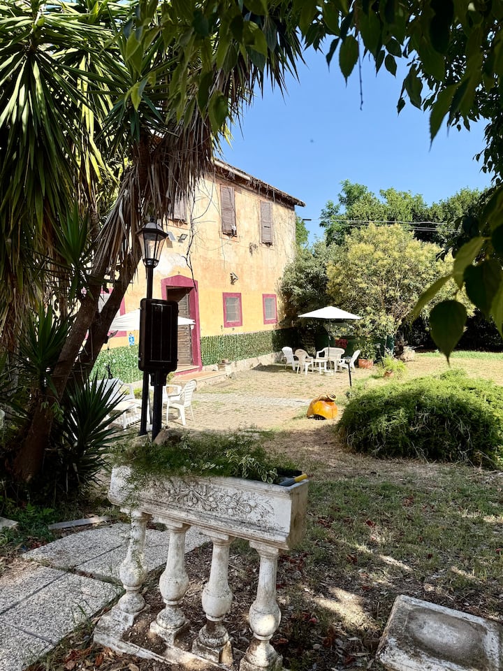 Mare Zoomarine Torvaianica Roma - Ardea, Lazio