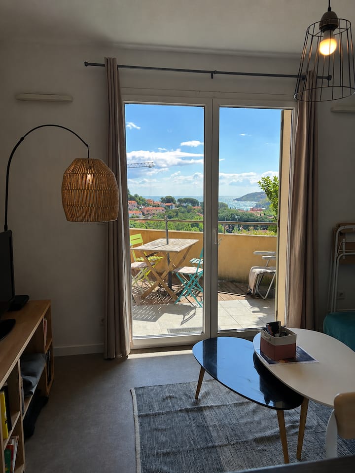L'escapade Colliourencque : Vue Mer, Clim, Parking - Collioure