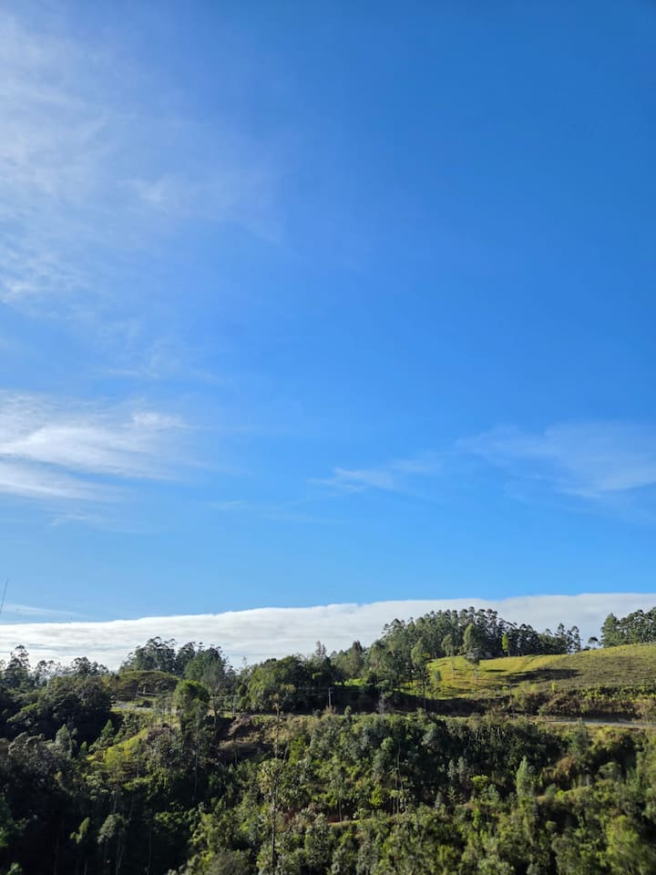 Foto da Cabana Otília em Lauro Müller