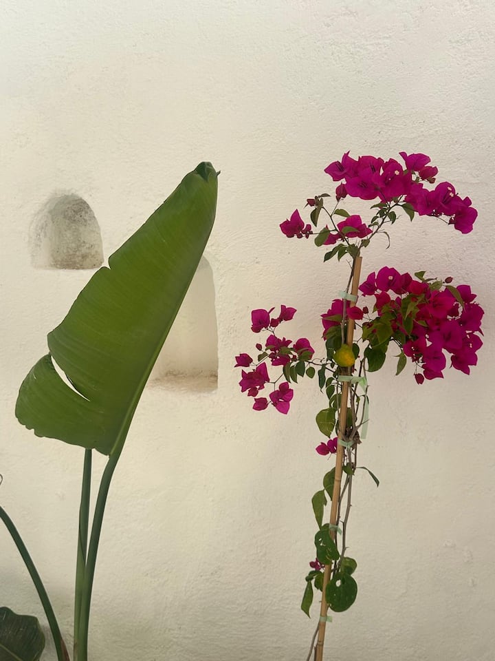 Santorini Gümüşlük -2 - Akyarlar