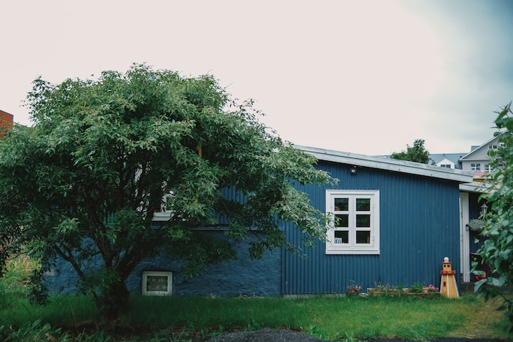 Steinabær  Historic Home By The Sea And Cat - Reikiavik