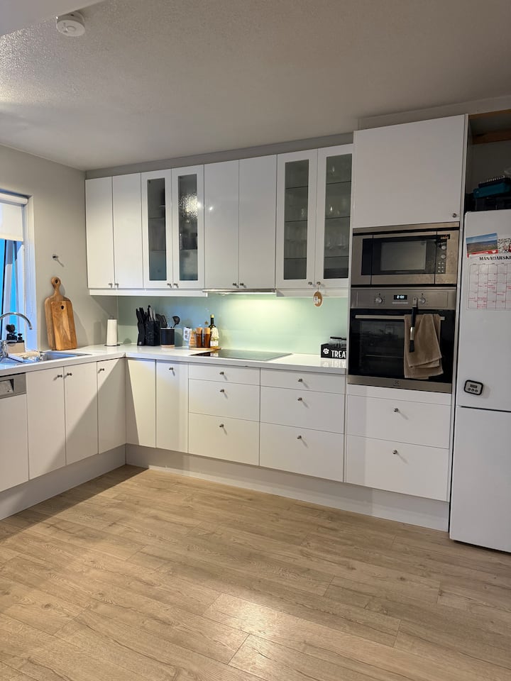 Spacious Apartment Close To Center Of Reykjavík - Reykjavík