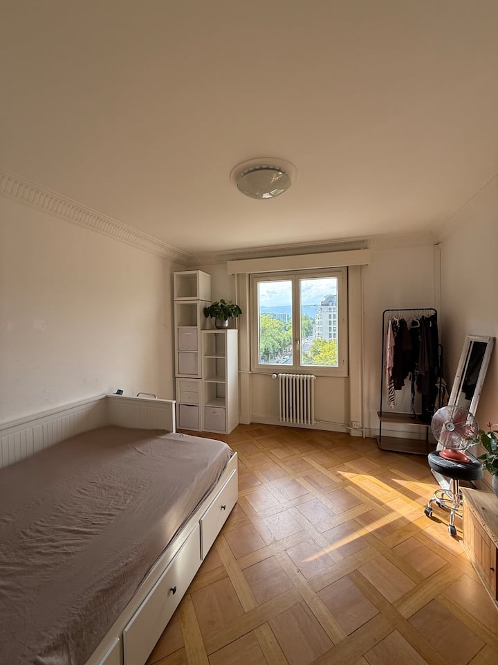 Appartement Au Cœur De Genève - 日內瓦