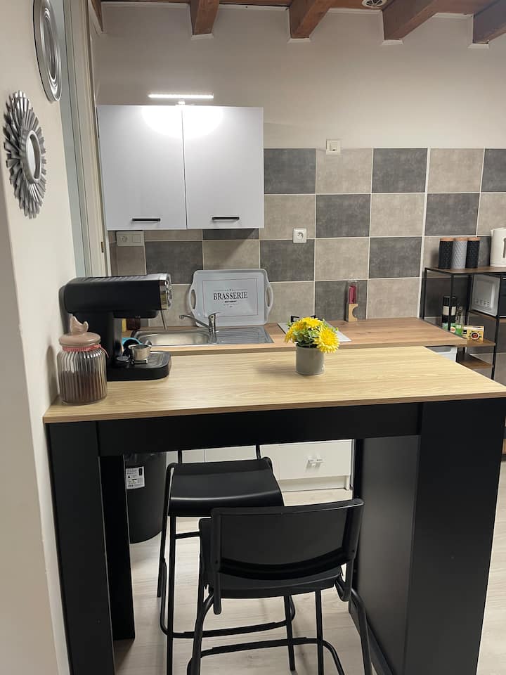 Cocon Des Poutres-studio Cosy De 35 M² - Saint-Claude