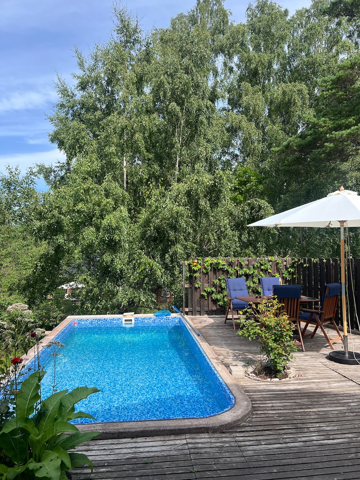 Idyllic summer cottage