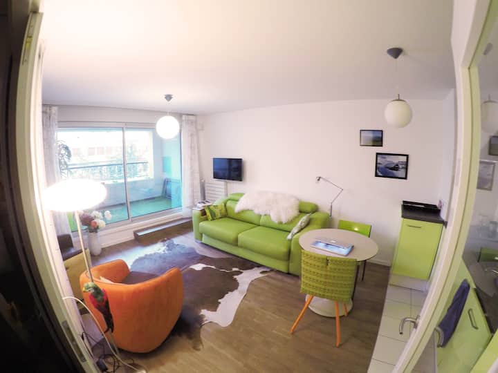 Appartement Centre-ville Climatisé-parking Privé - Annecy