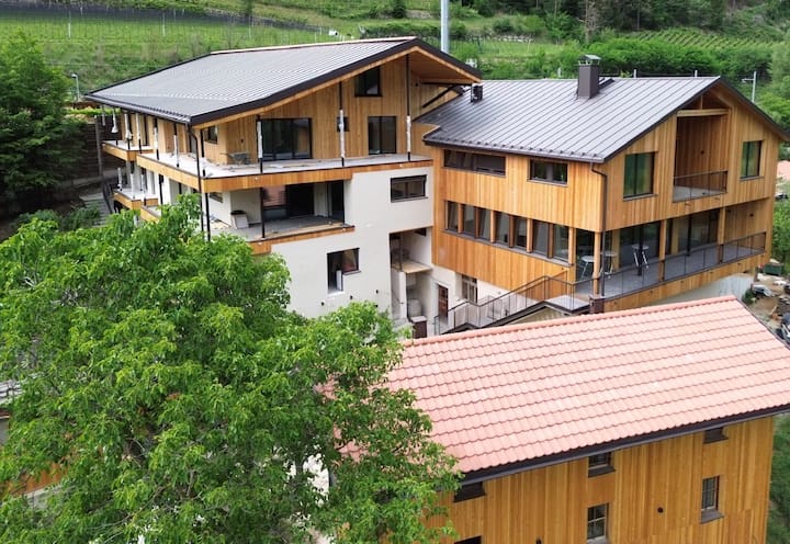 Weingut Santer Apartments - Vinea - Maranza