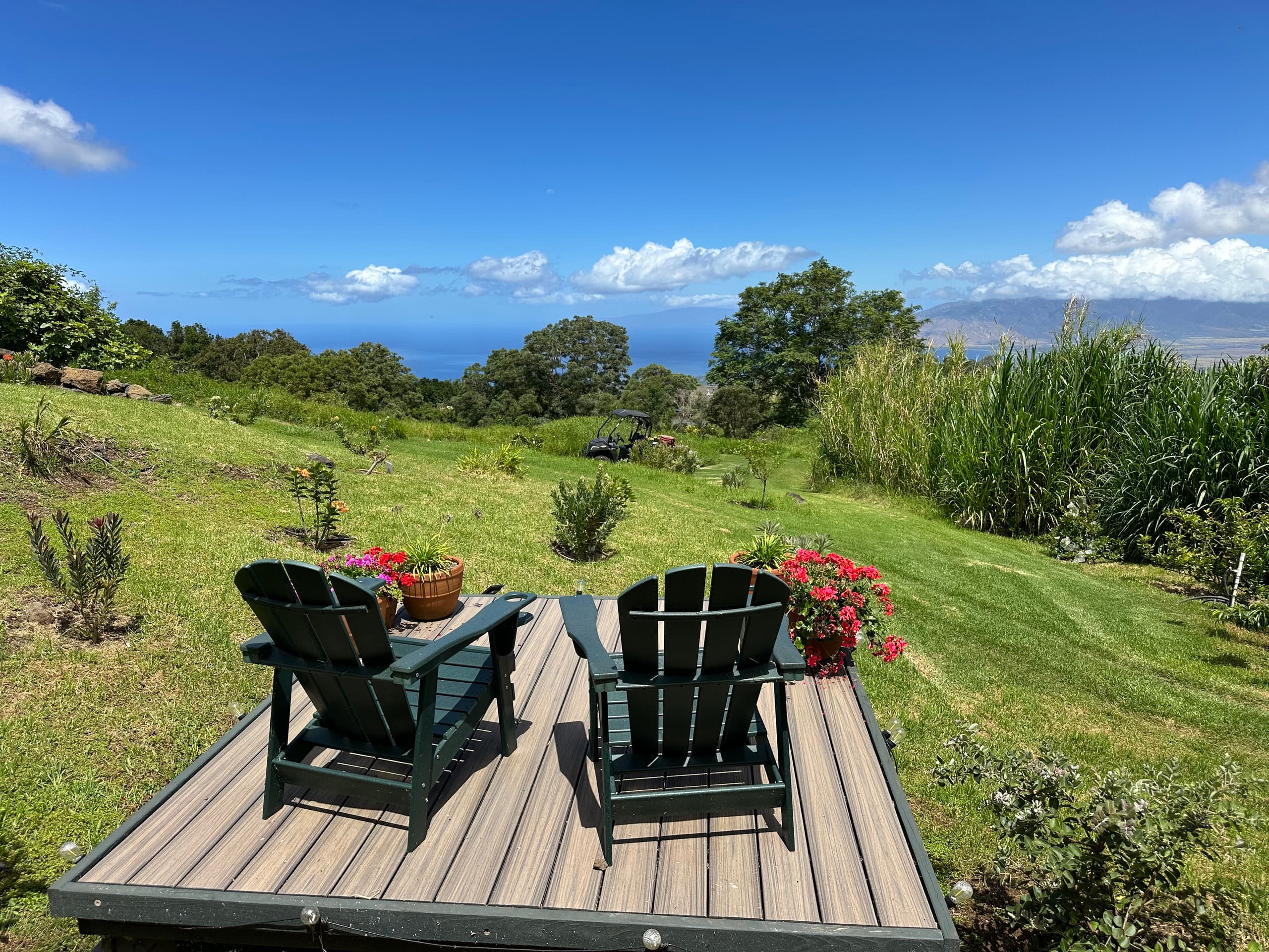 Kula Jacaranda Studio on the Slopes of Haleakala - Photo 12