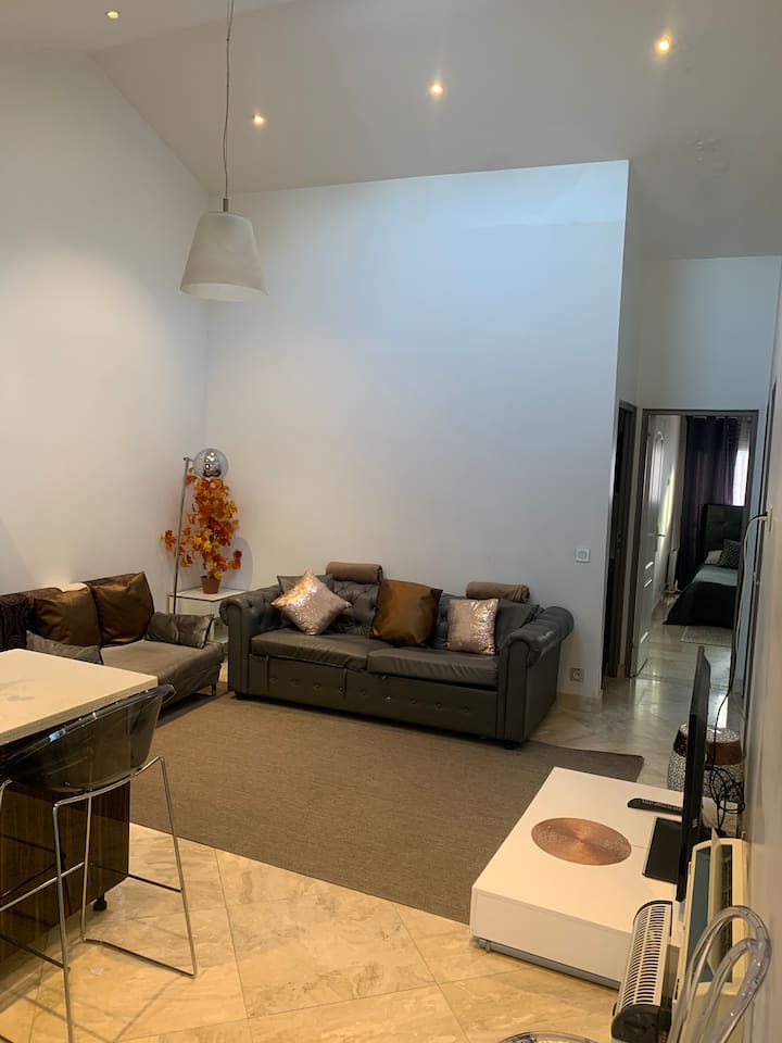 Sublime Penthouse Aux Portes Paris - Alfortville