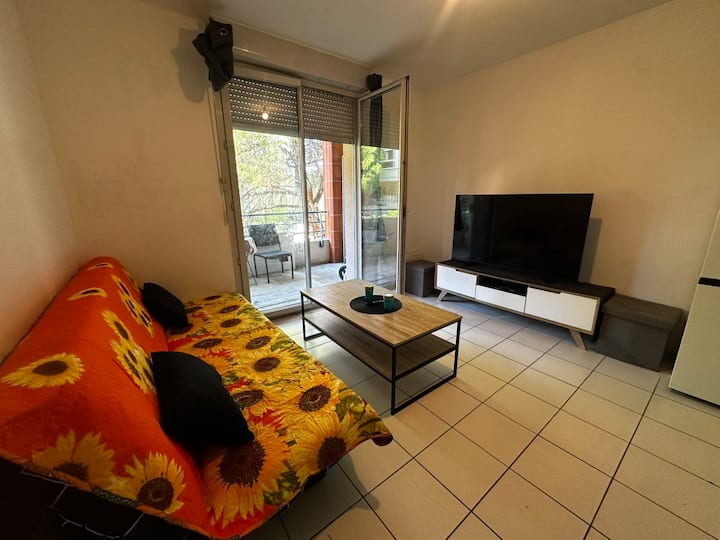 Appartement T2 Avec Piscine, Séjour Au Calme - Toulouse