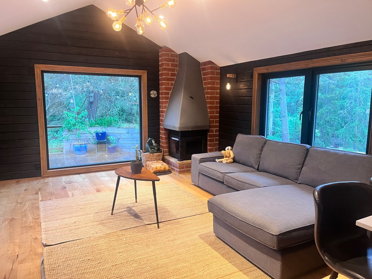 Modern Archipelago Escape | 30 Min Stockholm