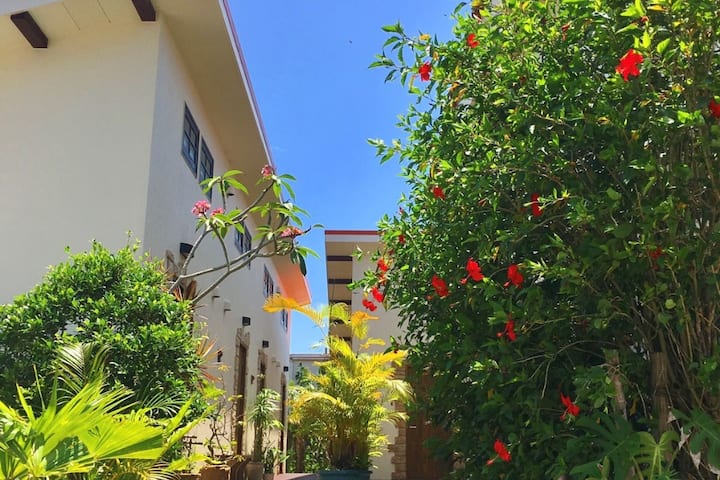 【Exclusive Rental Plan】enjoy With Friends & Family - Ishigaki
