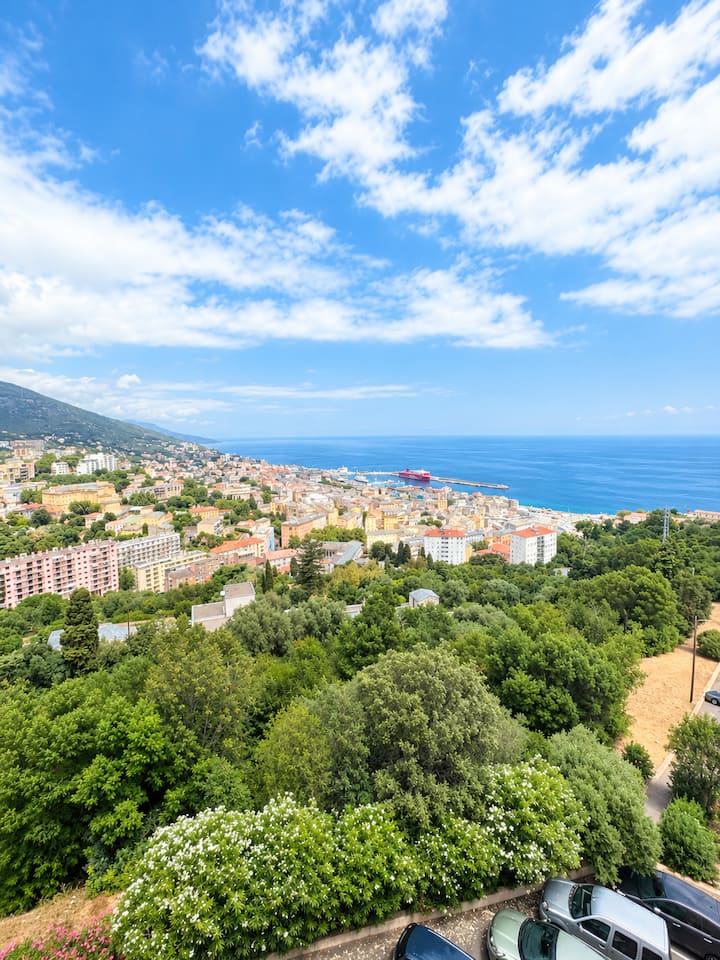 T3 Avec Vue Imprenable Sur La Mer Et La Ville - Bastia