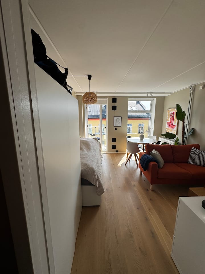 Sentral Og Praktisk Studioleilighet - Oslo