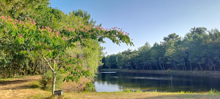 Appartement En Pleine Verdure Et Au Coeur Du Golfe - Locmariaquer
