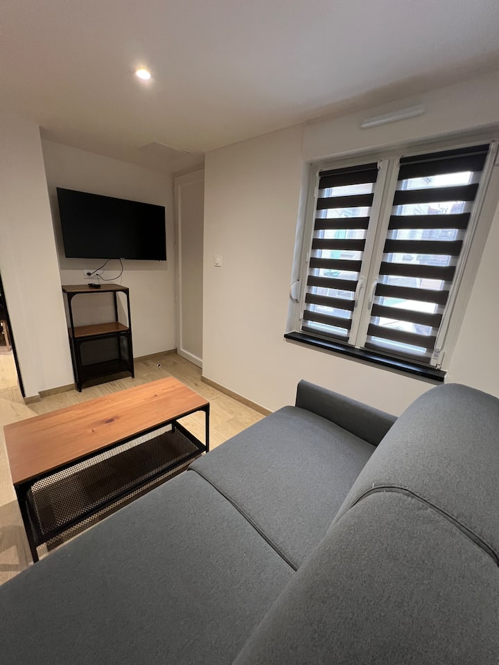 Lappartement De Léchappée Alsacienne - Geispolsheim