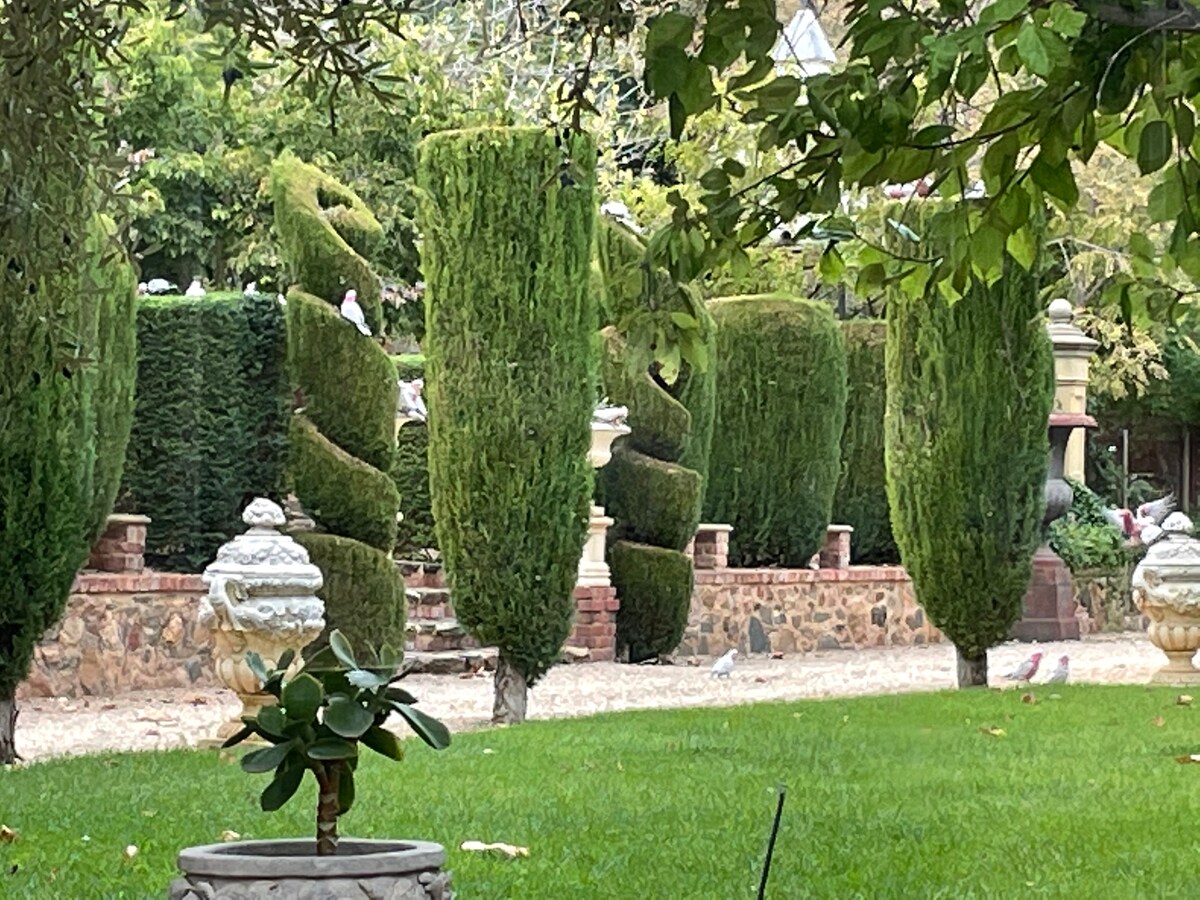 Moorooroo Park Orchard
