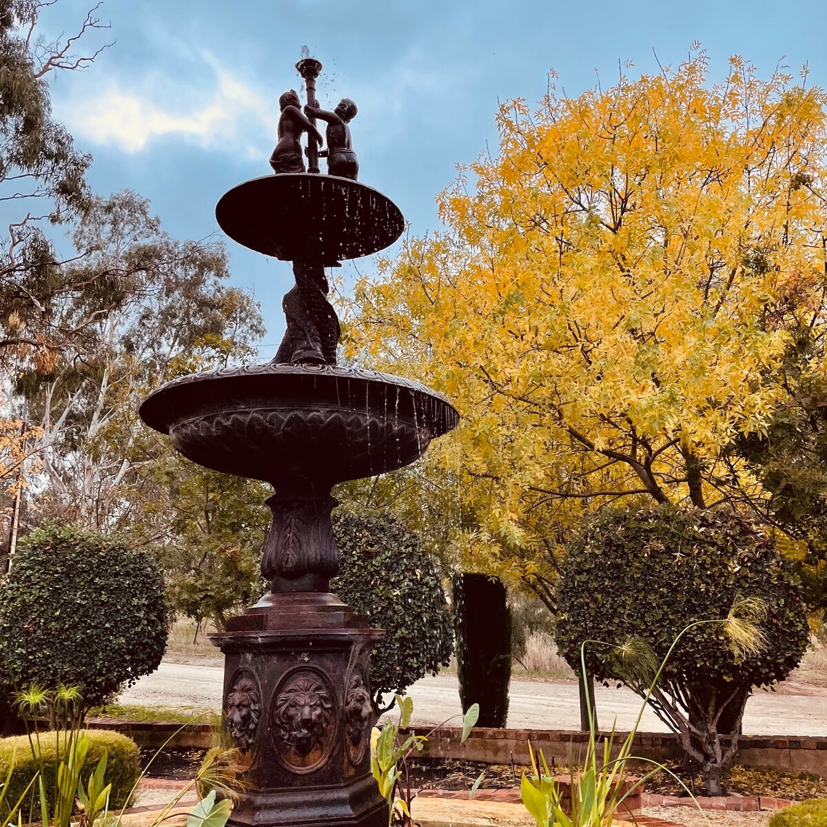 Moorooroo Park Orchard