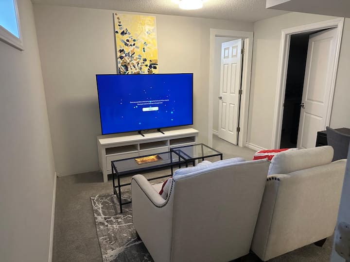 Modern Basement With Kitchenette And Bedroom - 渥太華