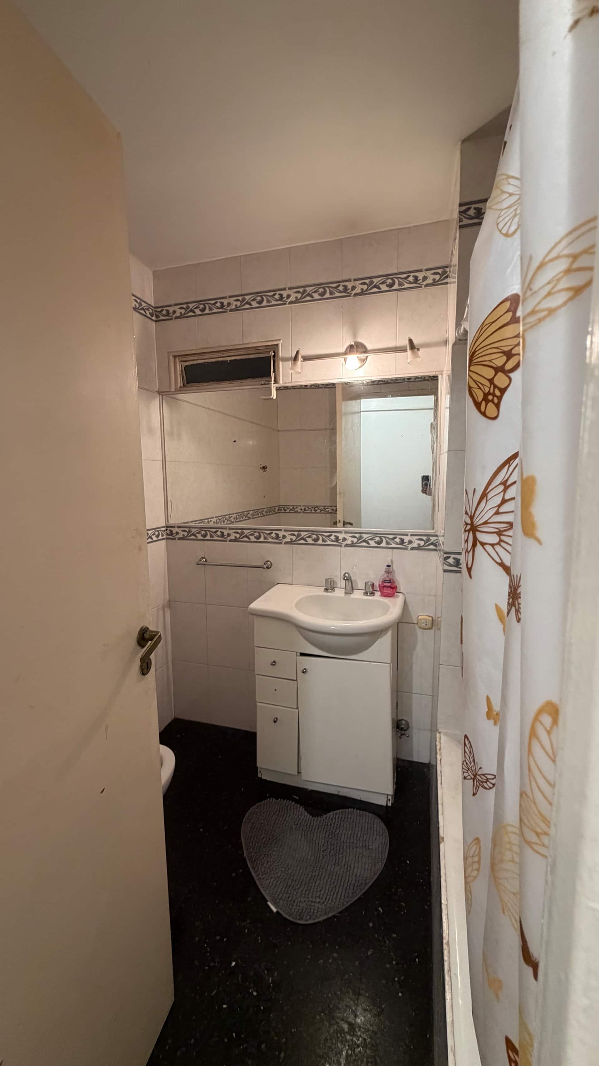 Furnished parquet apartment