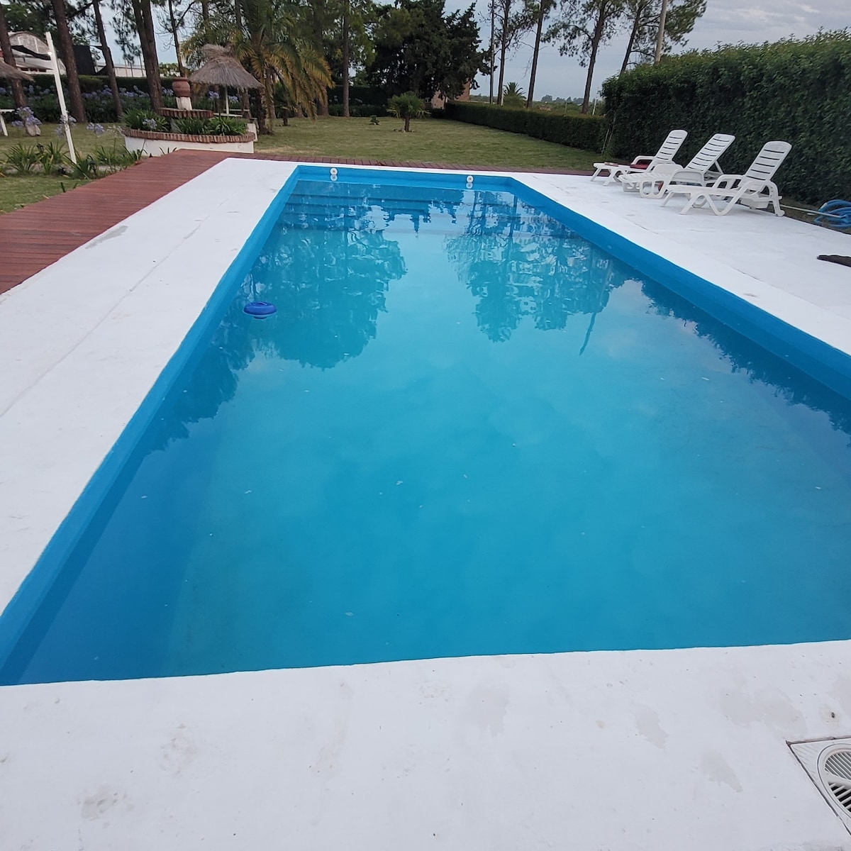 A swimming pool with clear blue water is surrounded by a white concrete deck. Several lounge chairs are placed along one side, and lush greenery is visible in the background, contributing to a serene outdoor setting.