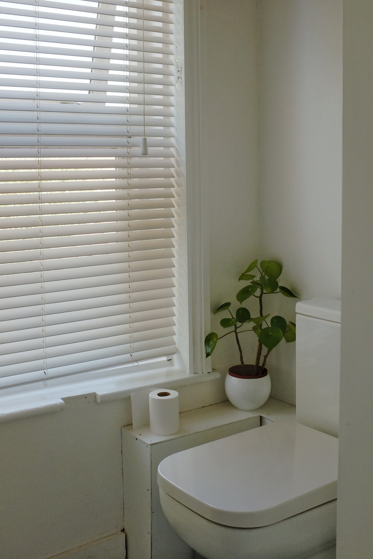 Cosy Flat on Beautiful Historic City Centre Street